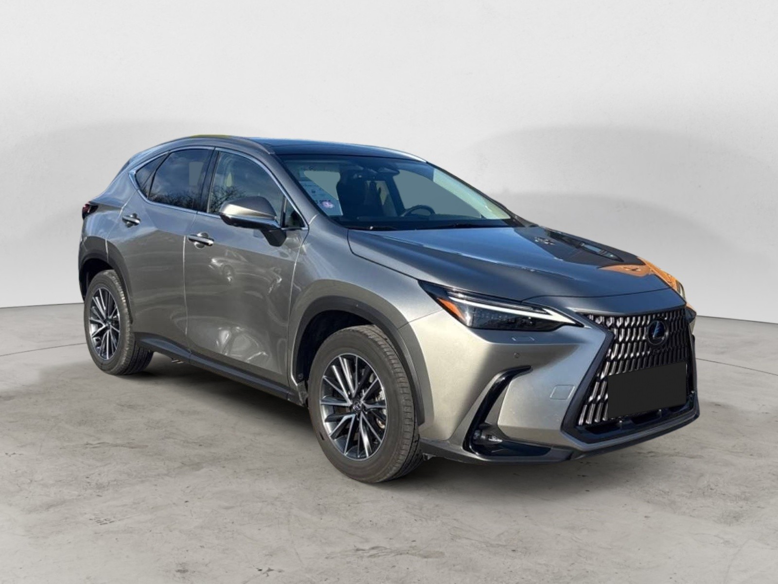 LEXUS - NX - #863433 - 2