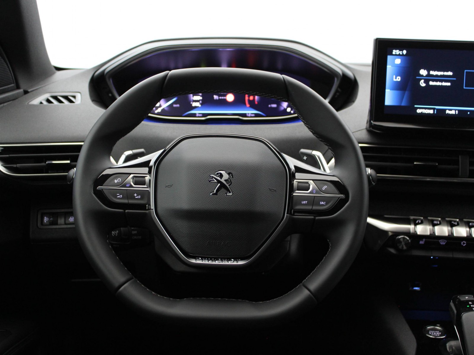 PEUGEOT - 3008 - #184050 - 10