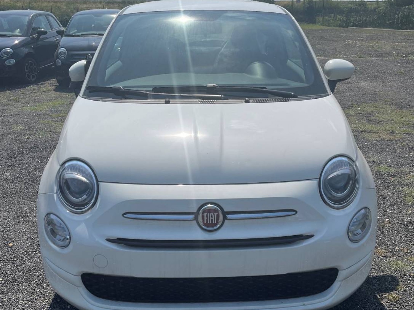 FIAT - 500 MY22 - #184392 - 3