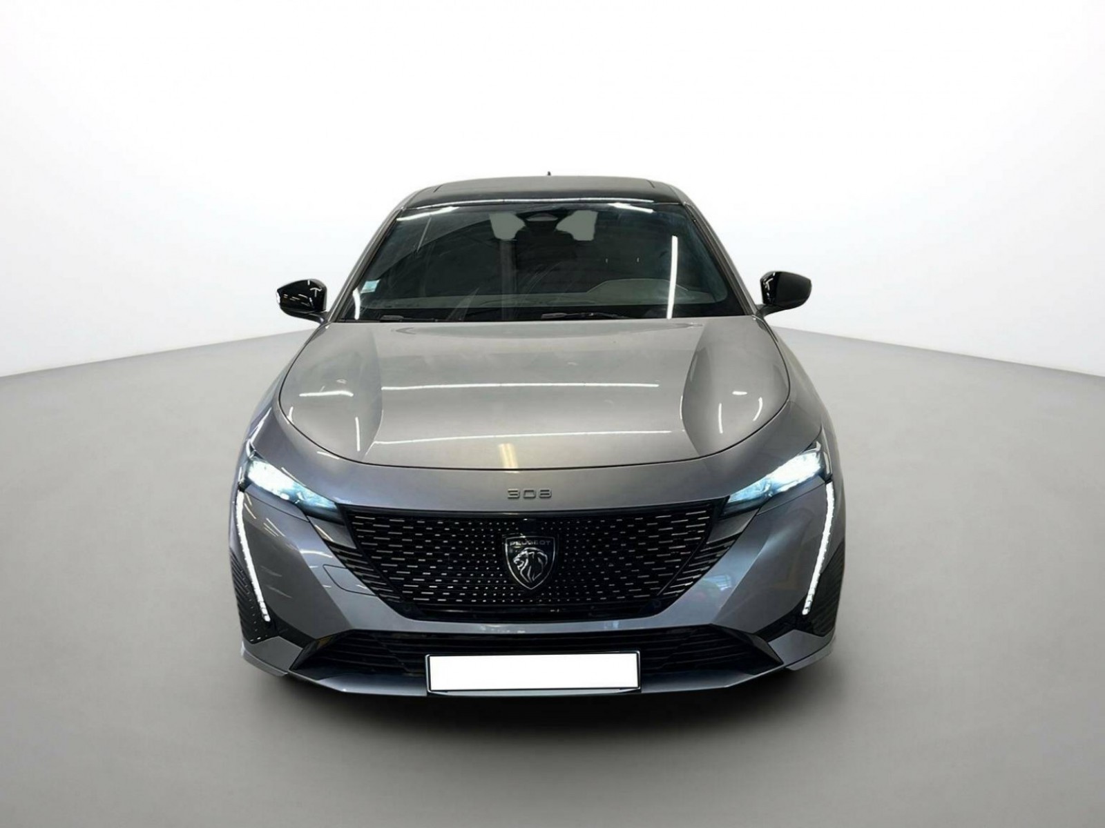 PEUGEOT - 308 - #201319 - 22