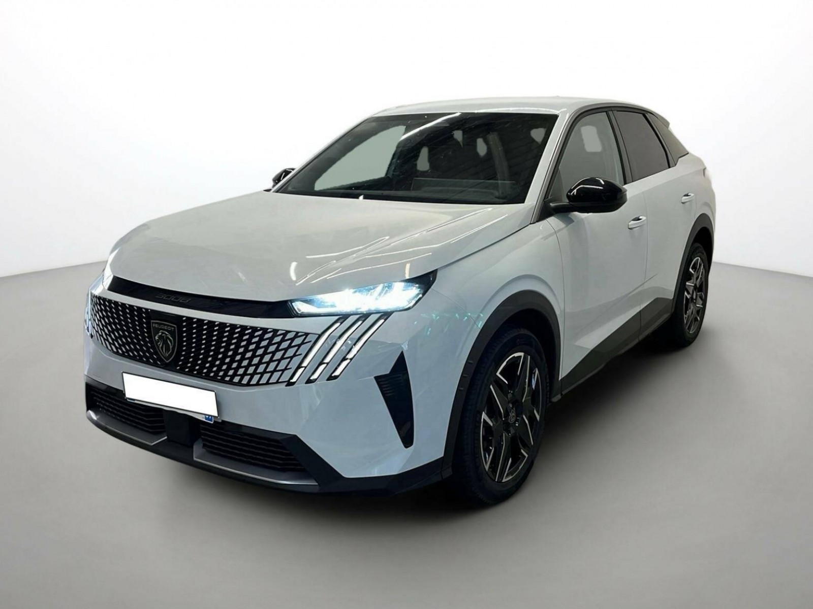 PEUGEOT - 3008 - #305587 - 0