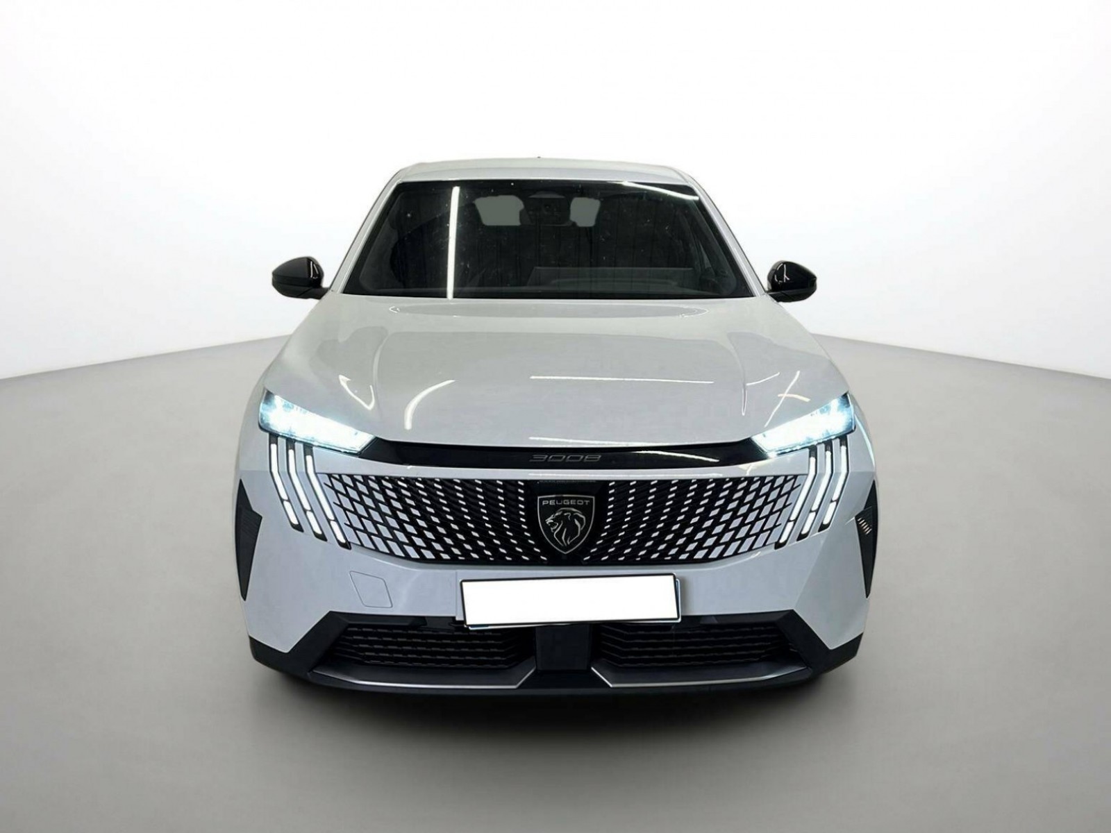 PEUGEOT - 3008 - #305587 - 4