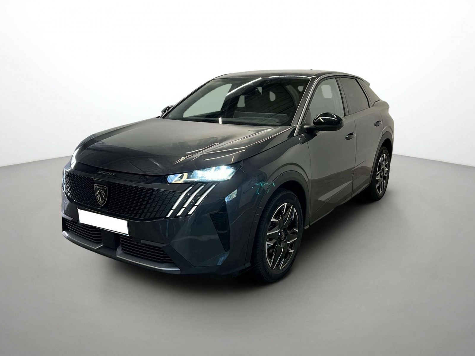 PEUGEOT - 3008 - #305584 - 0