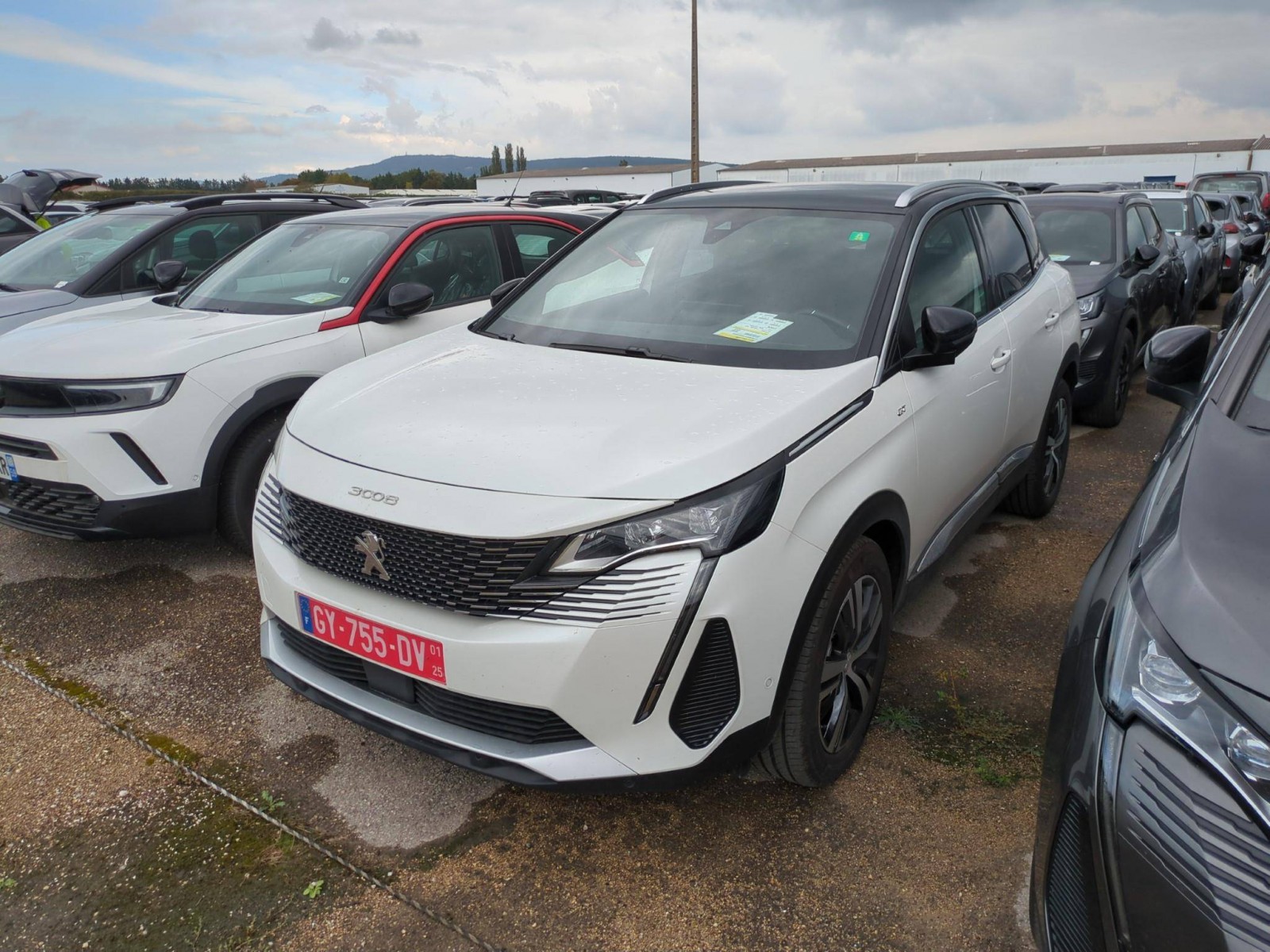 PEUGEOT - 3008 - #395190 - 0