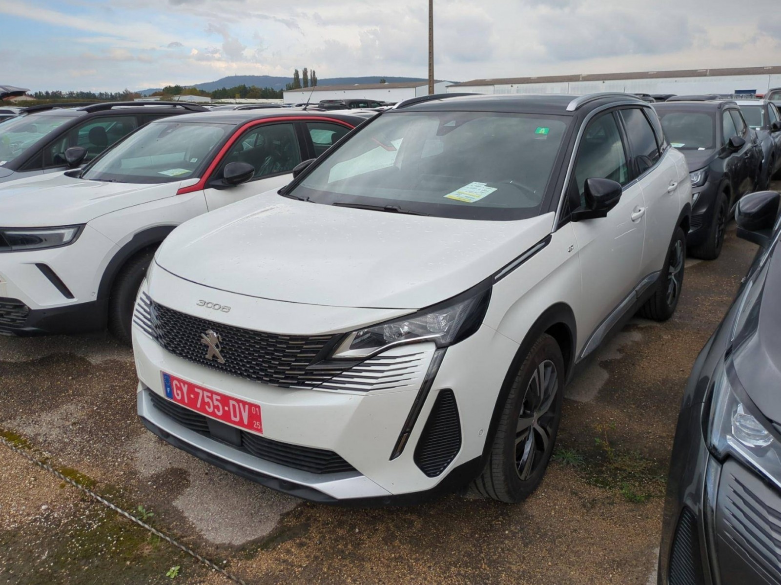 PEUGEOT - 3008 - #395190 - 2