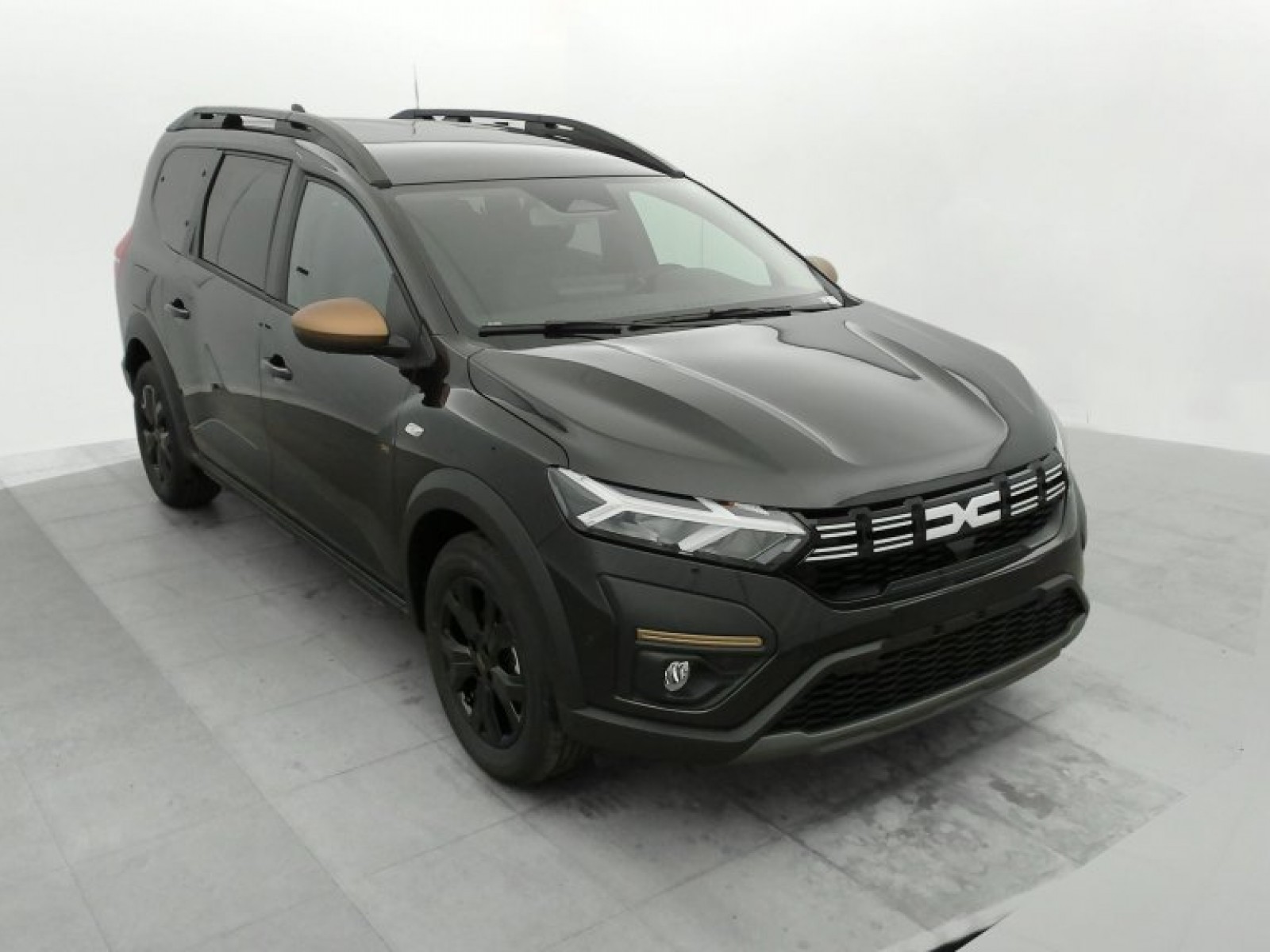 DACIA - Jogger - #382200 - 0