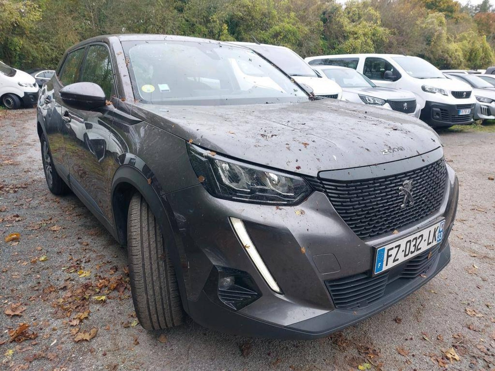 PEUGEOT - 2008 BUSINESS - #433601 - 1
