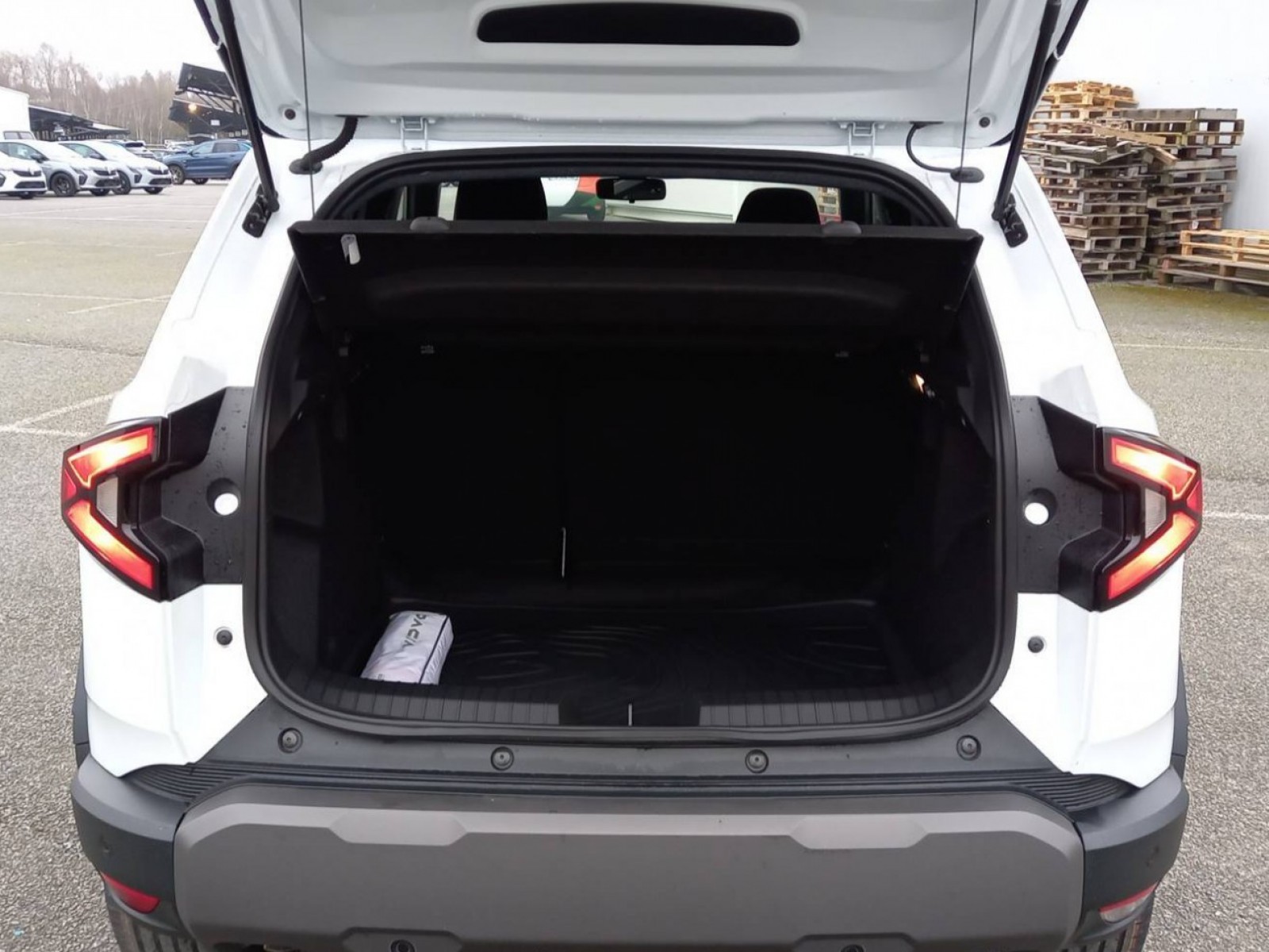 DACIA - DUSTER - #410660 - 31