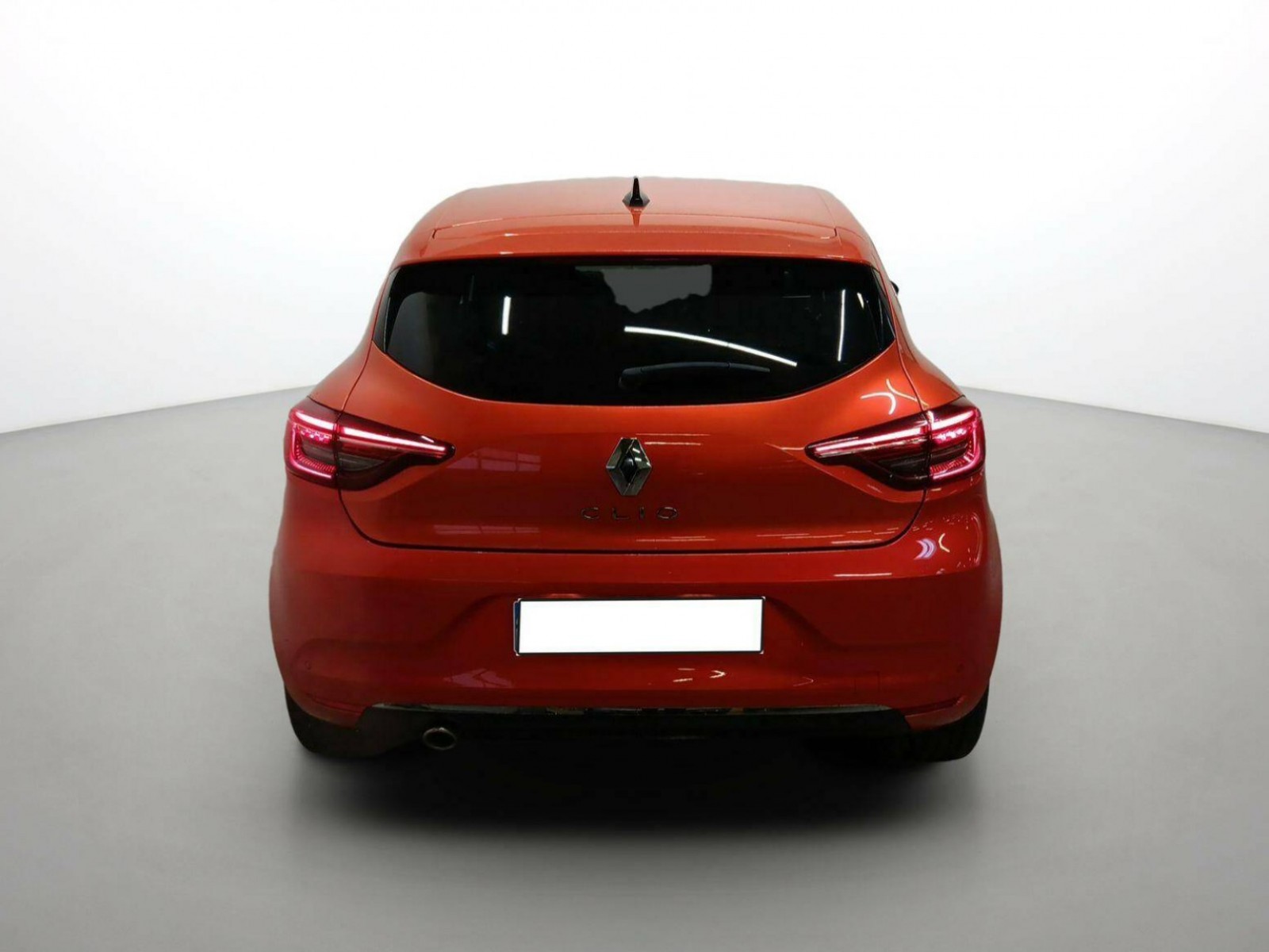RENAULT - CLIO V - #333699 - 17