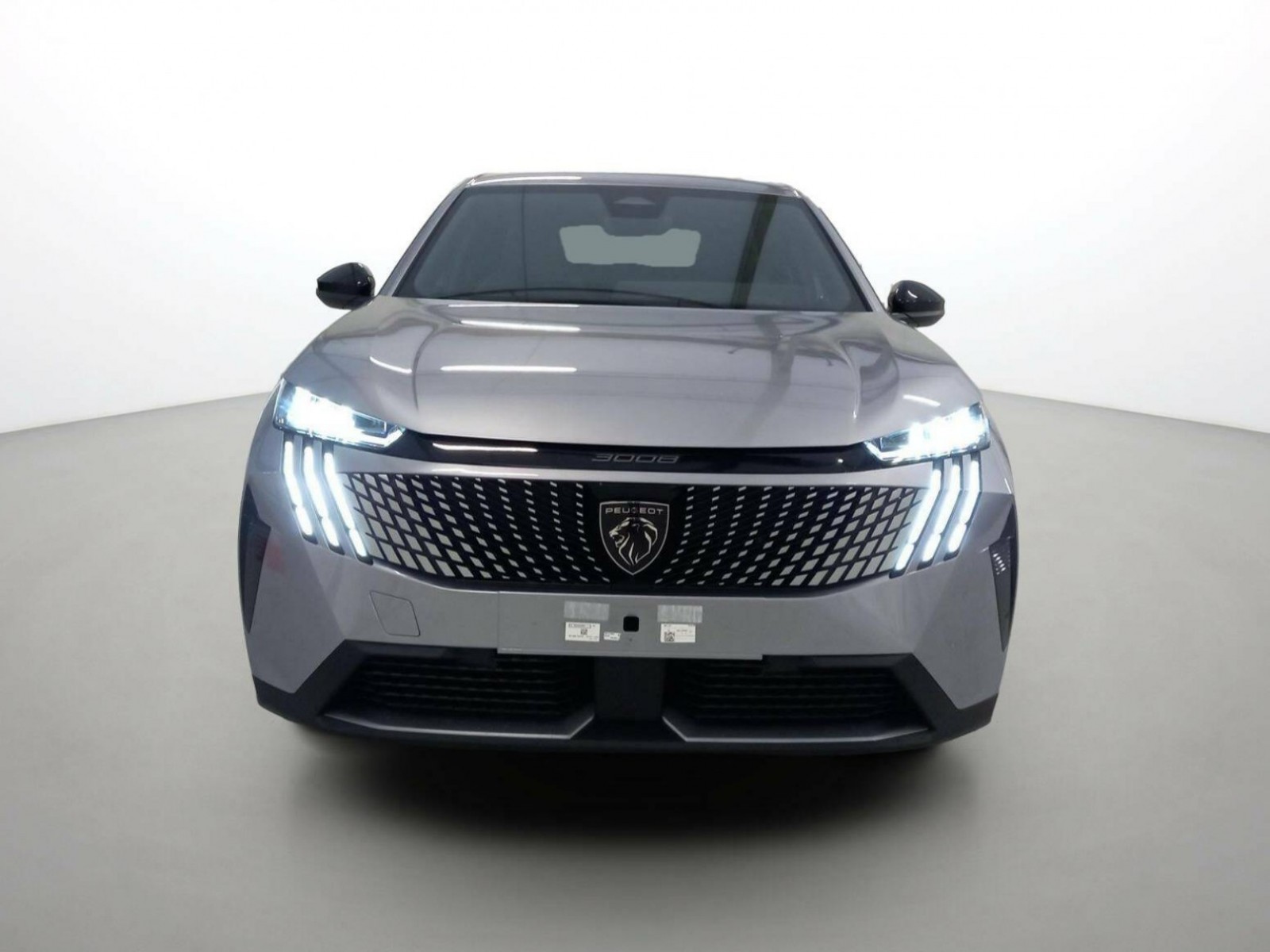 PEUGEOT - 3008 - #189671 - 4