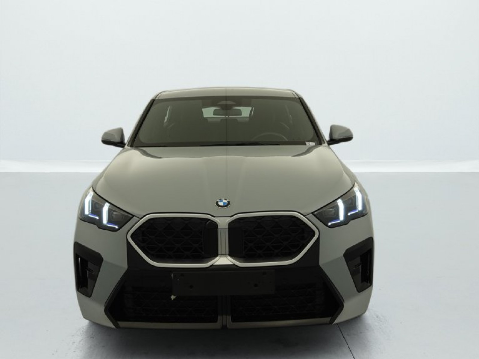 BMW - X2 U10 - #497040 - 1