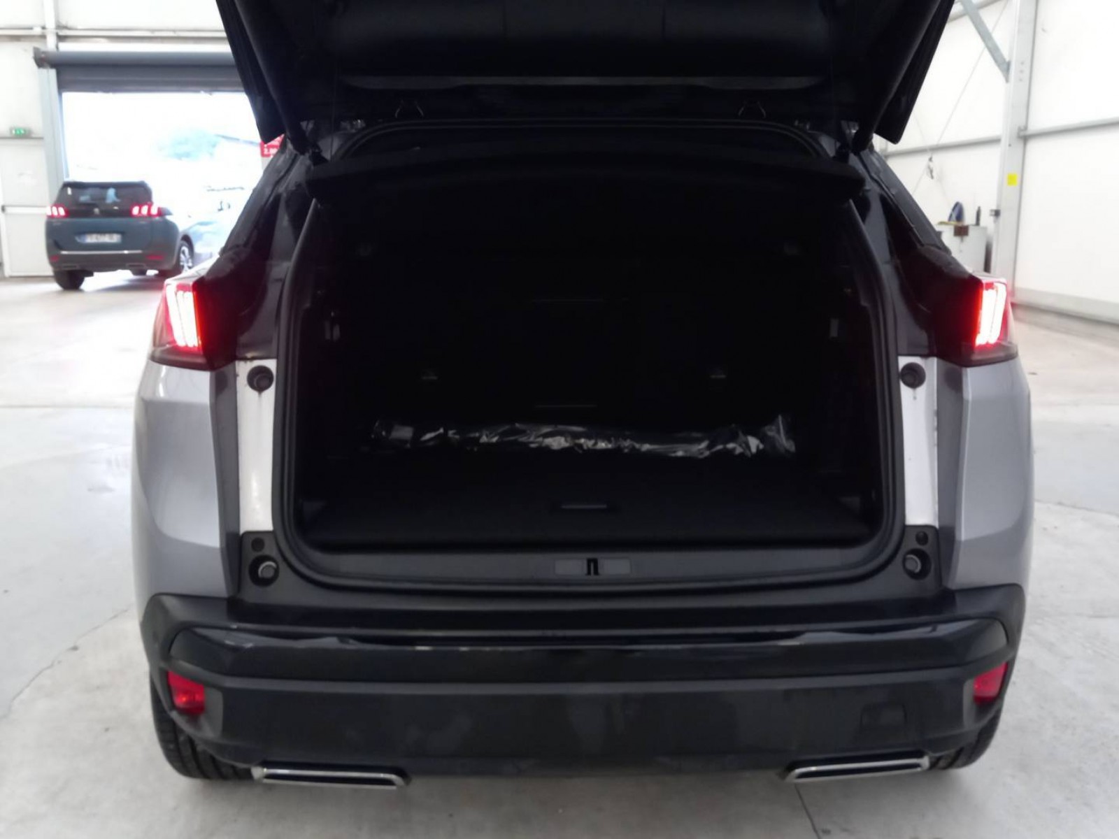 PEUGEOT - 3008 - #201213 - 3