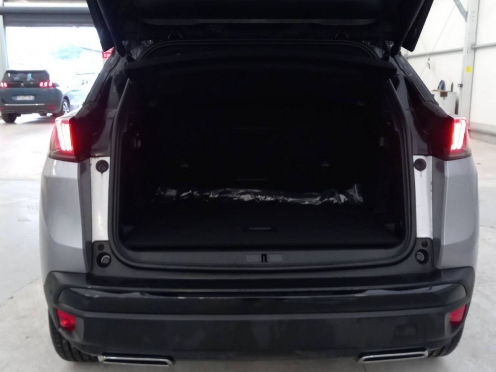 PEUGEOT - 3008 - #201213 - 20