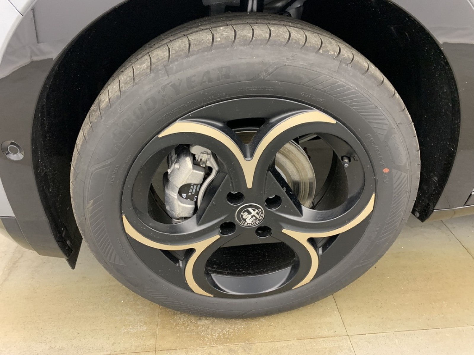 ALFA ROMEO - Junior - #857694 - 19