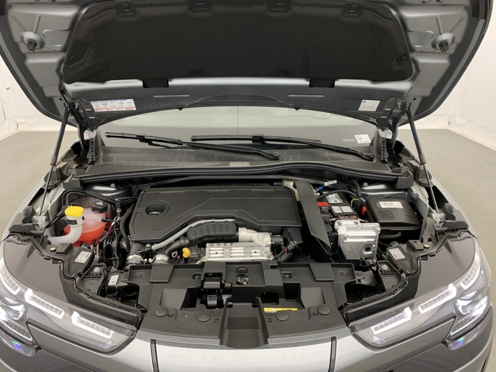 ALFA ROMEO - Junior - #857694 - 21