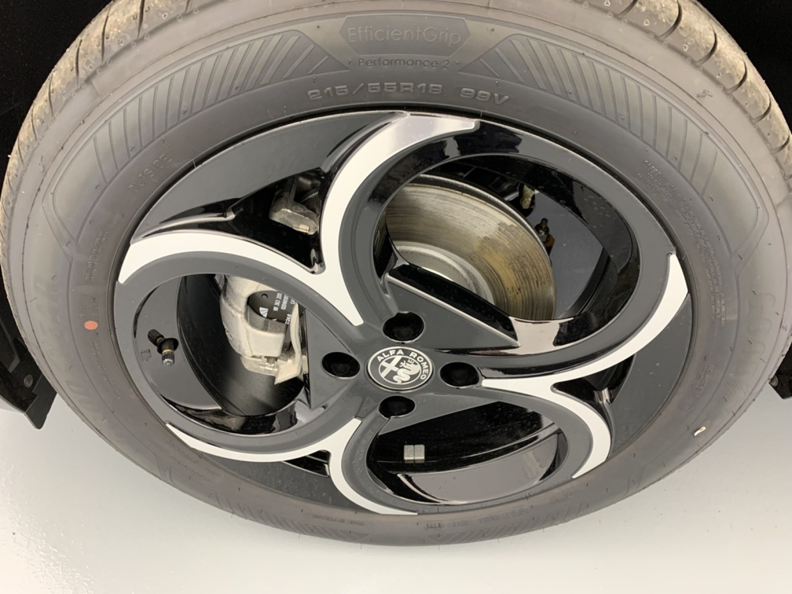 ALFA ROMEO - Junior - #864991 - 31