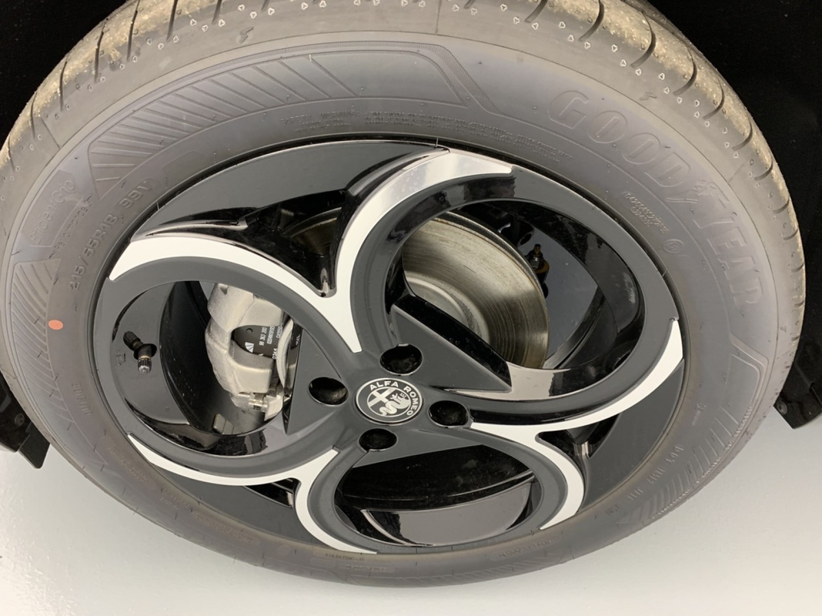 ALFA ROMEO - Junior - #864984 - 25