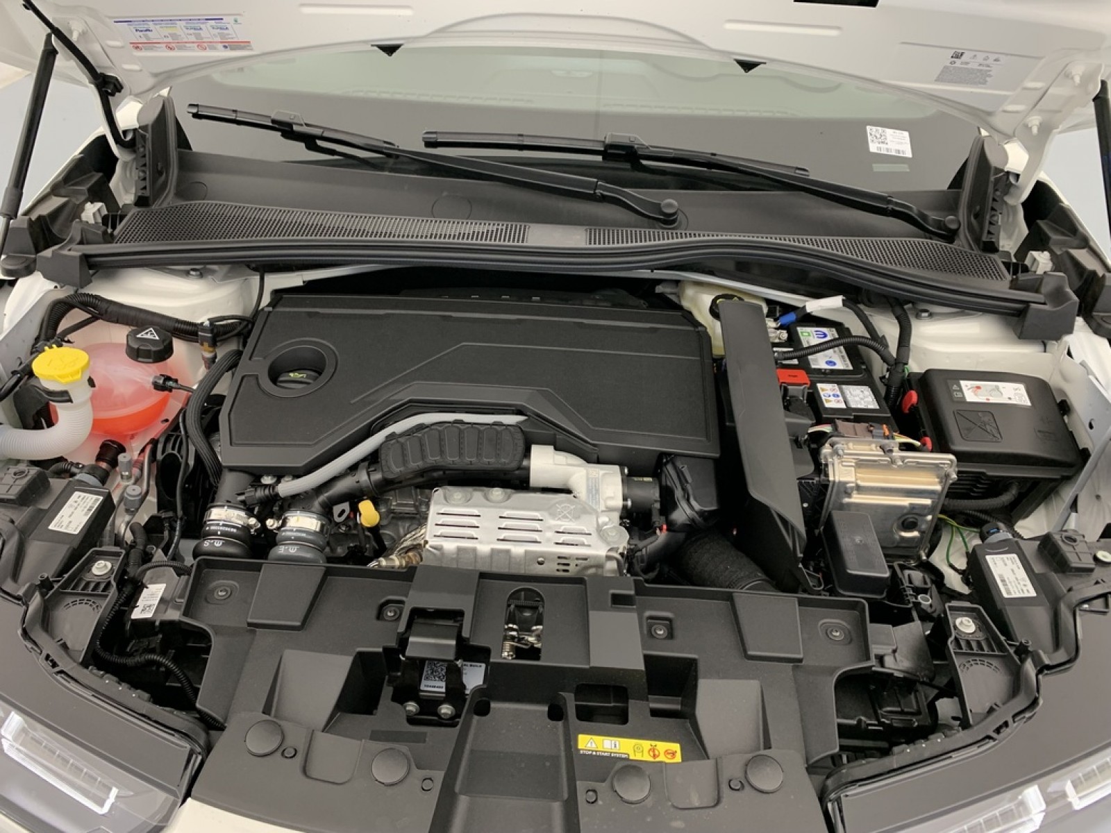 ALFA ROMEO - Junior - #864984 - 26