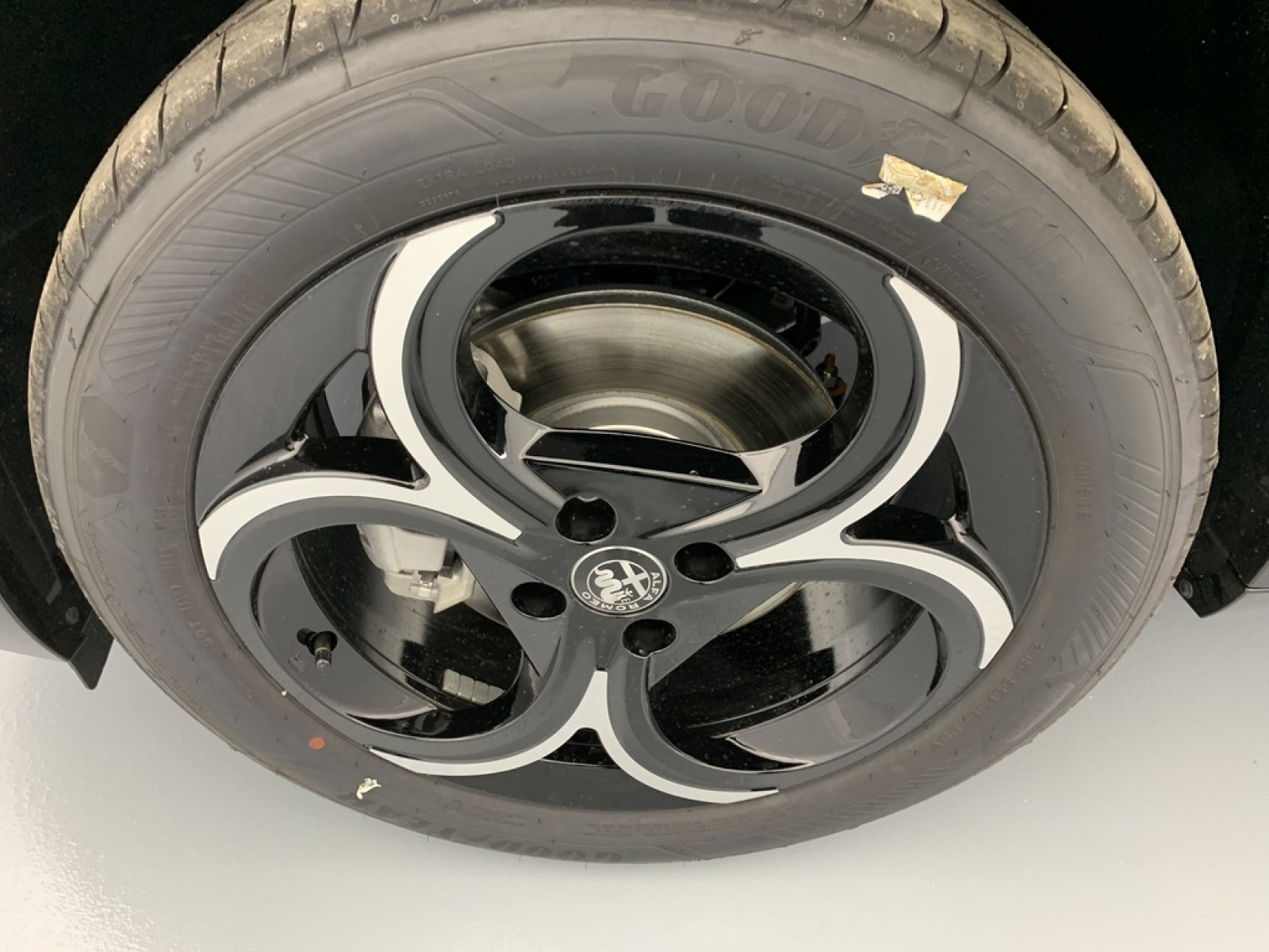 ALFA ROMEO - Junior - #869255 - 22