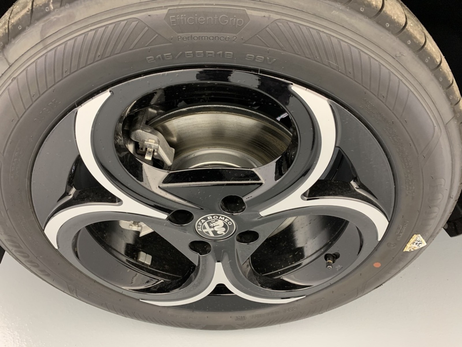 ALFA ROMEO - Junior - #869929 - 23