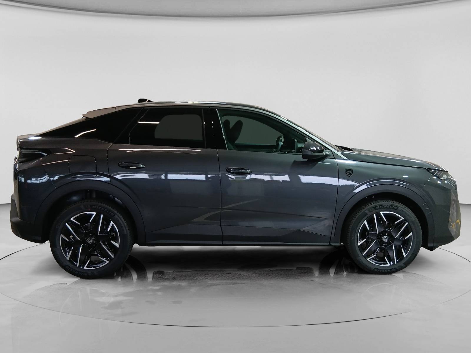 Image véhicule  PEUGEOT 3008 (14)