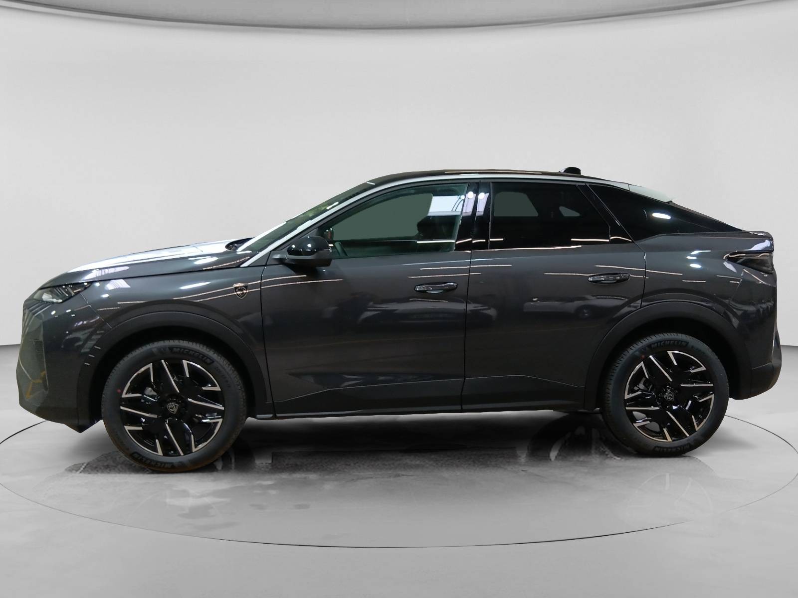 Image véhicule  PEUGEOT 3008 (15)