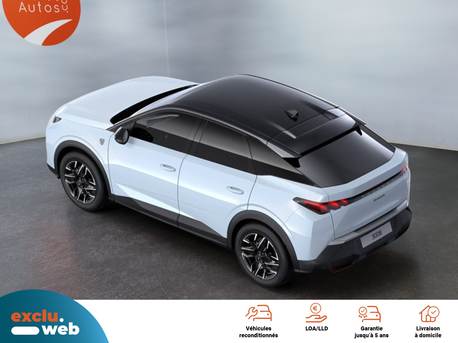 Image véhicule  PEUGEOT 3008 (6)