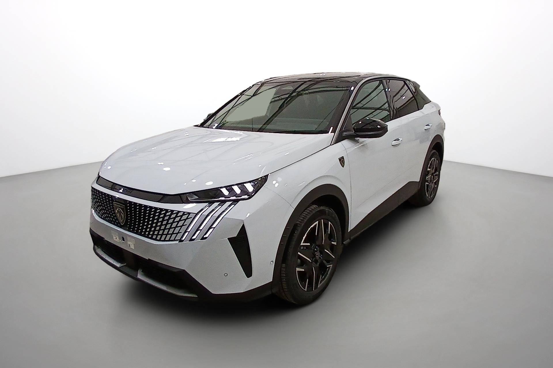 Image véhicule  PEUGEOT 3008 (1)
