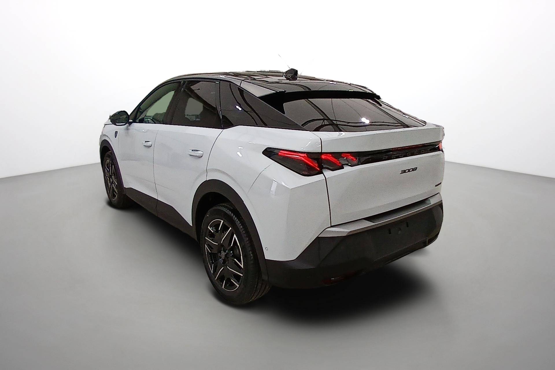 Image véhicule  PEUGEOT 3008 (7)