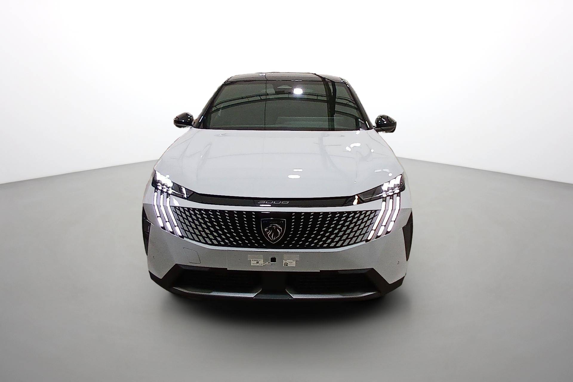 Image véhicule  PEUGEOT 3008 (8)