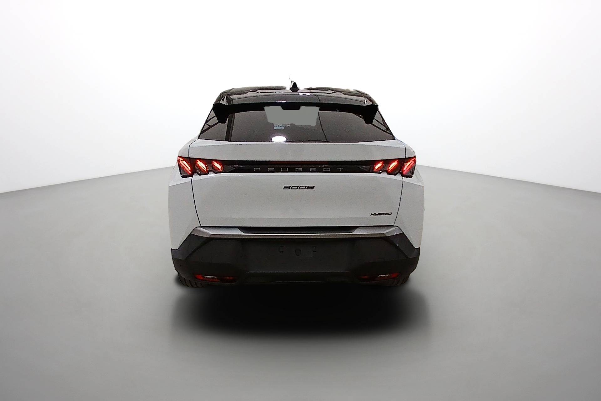 Image véhicule  PEUGEOT 3008 (9)