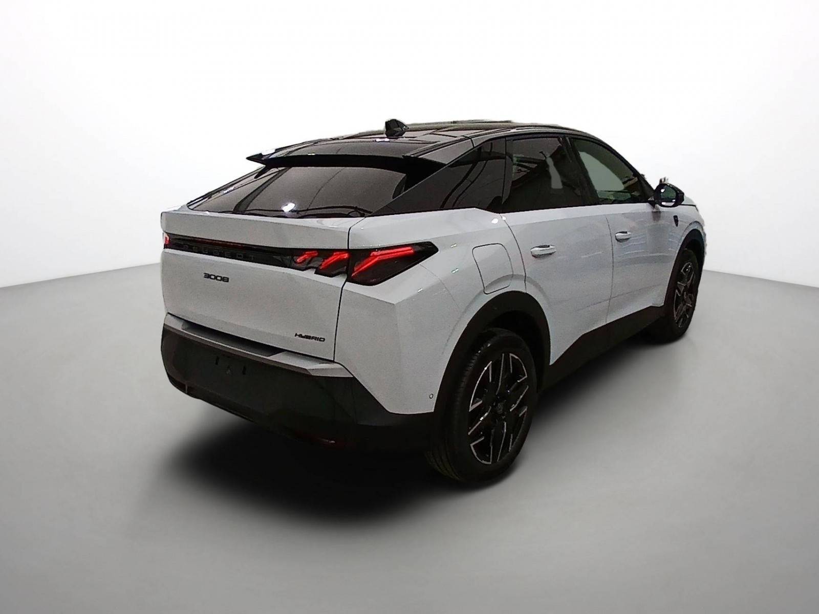 Image véhicule  PEUGEOT 3008 (5)