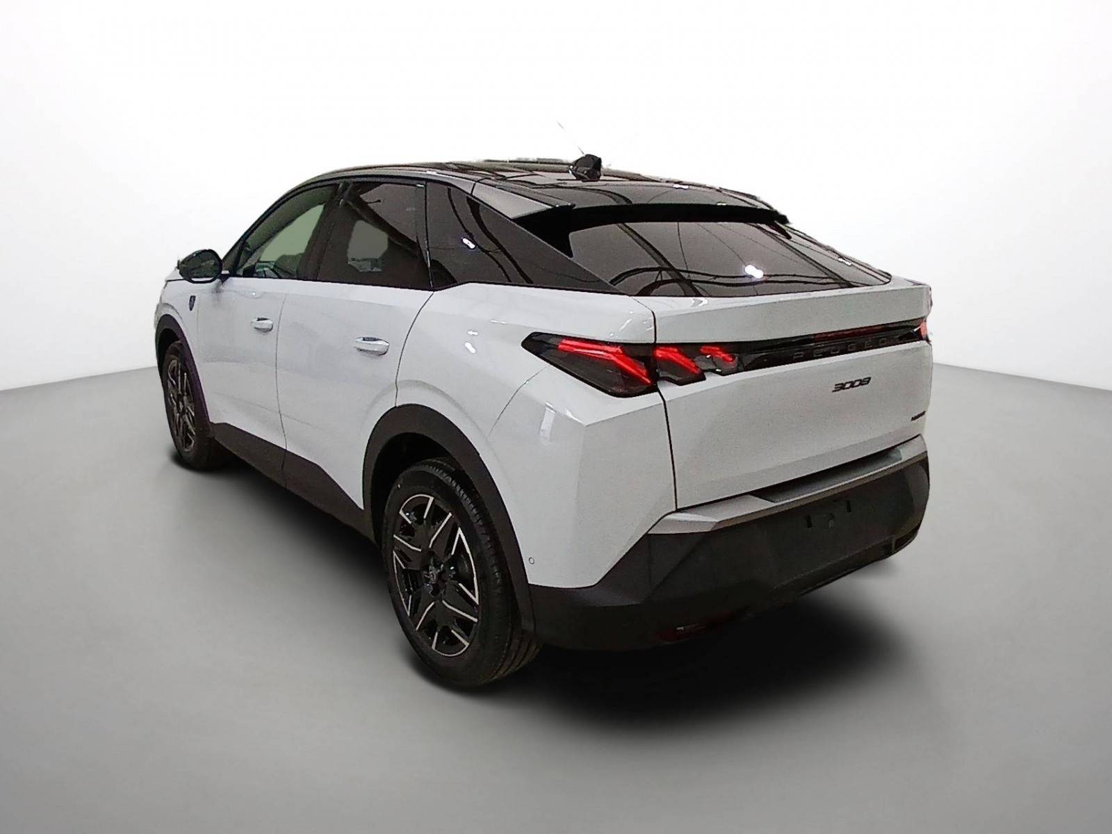 Image véhicule  PEUGEOT 3008 (7)