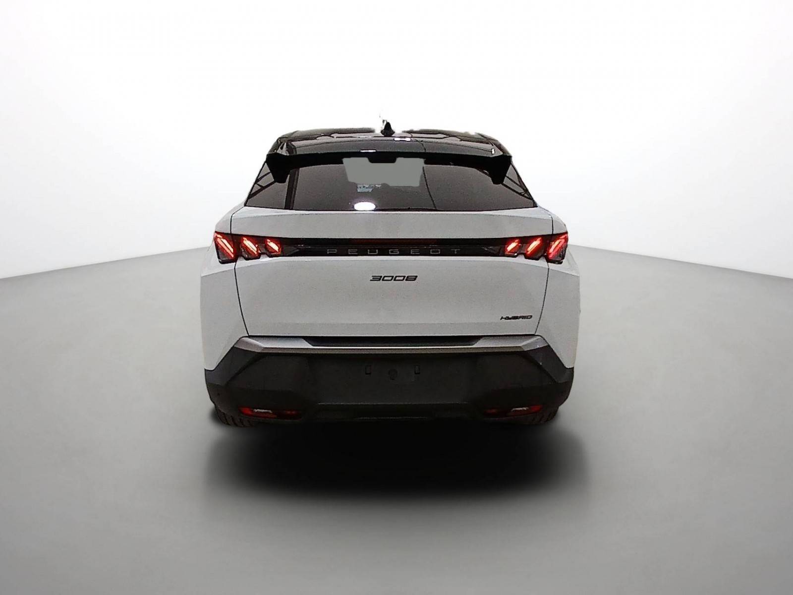 Image véhicule  PEUGEOT 3008 (9)
