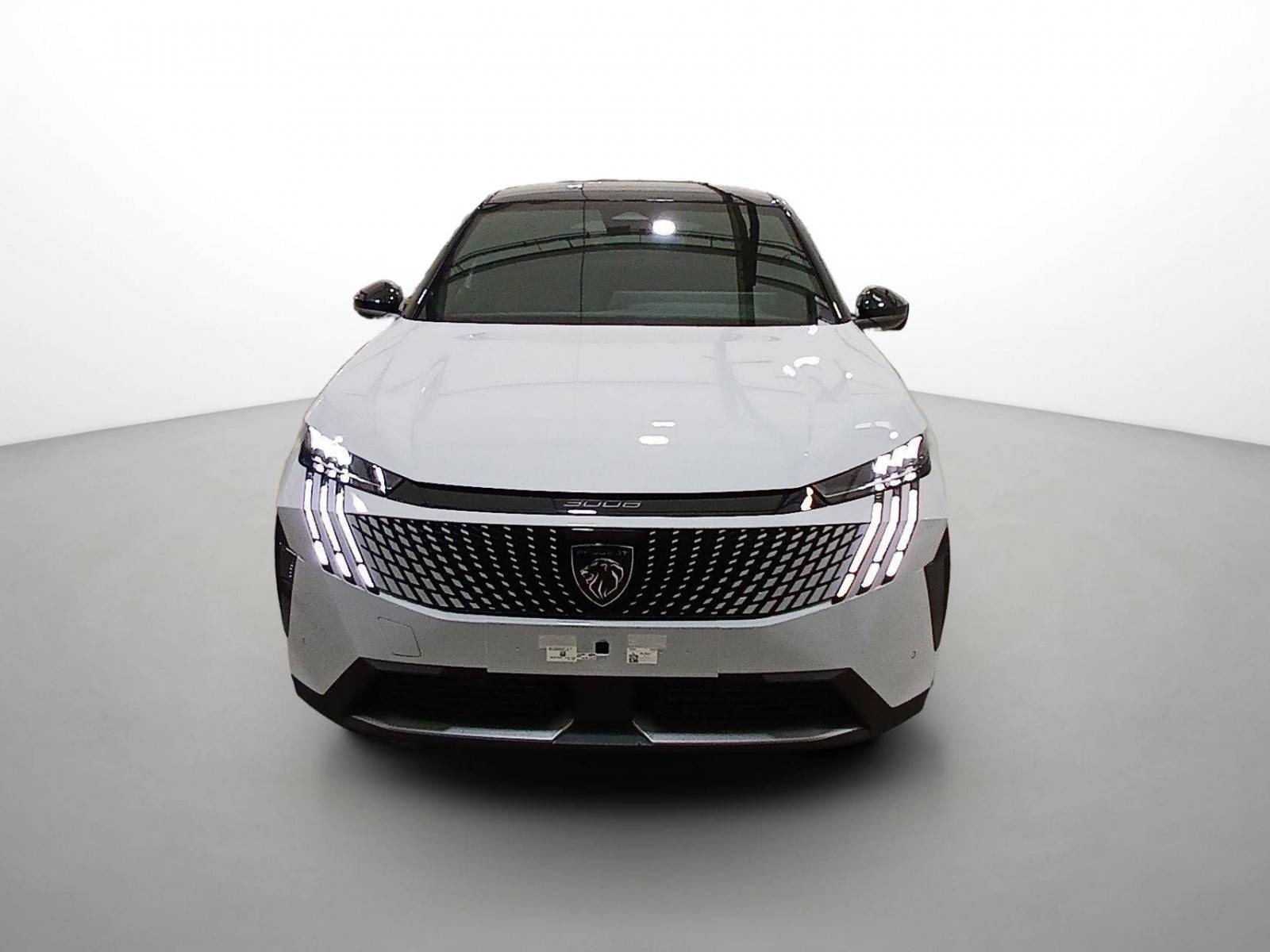 Image véhicule  PEUGEOT 3008 (8)