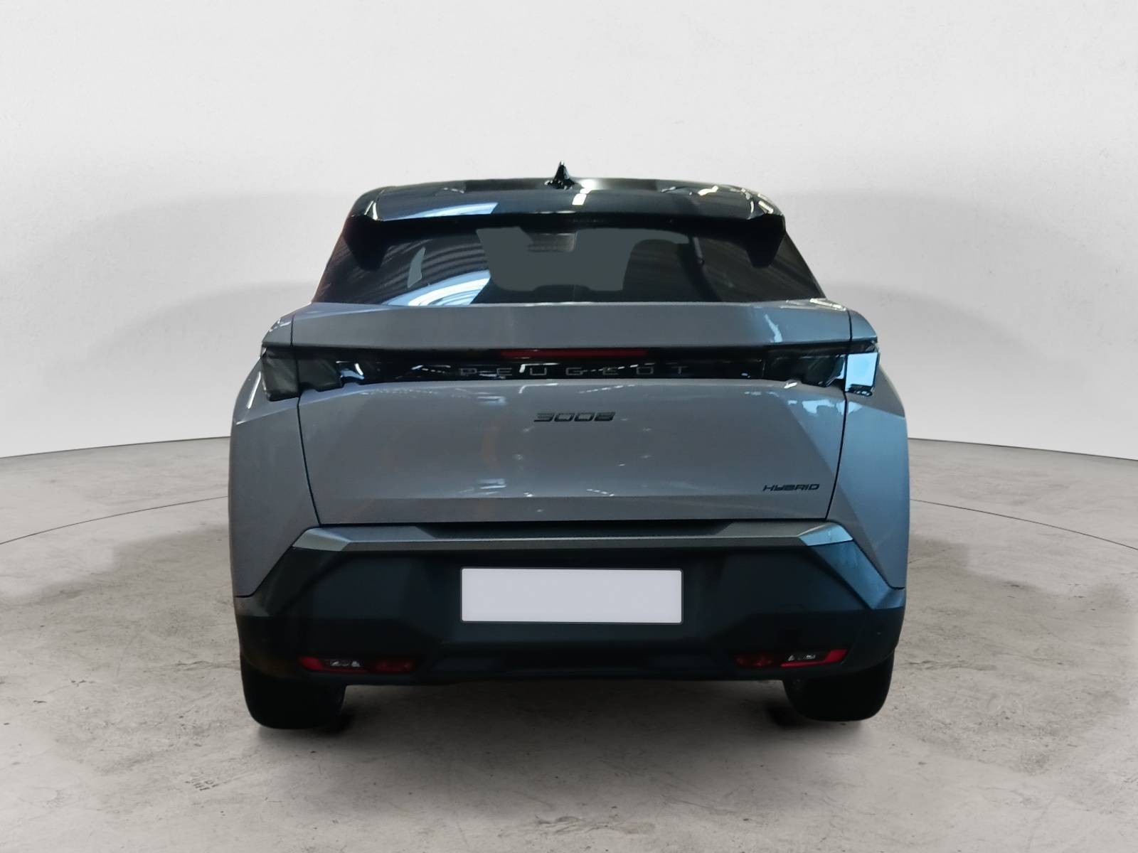 Image véhicule  PEUGEOT 3008 (7)