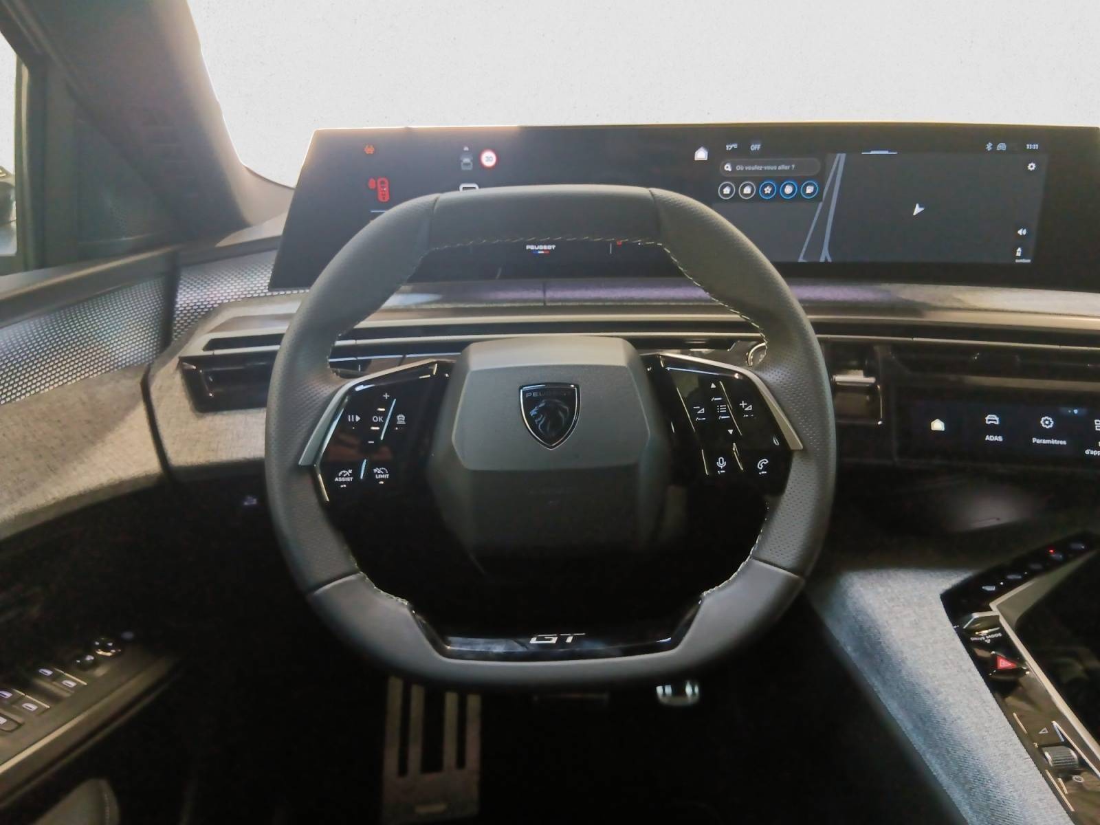 Image véhicule  PEUGEOT 3008 (11)