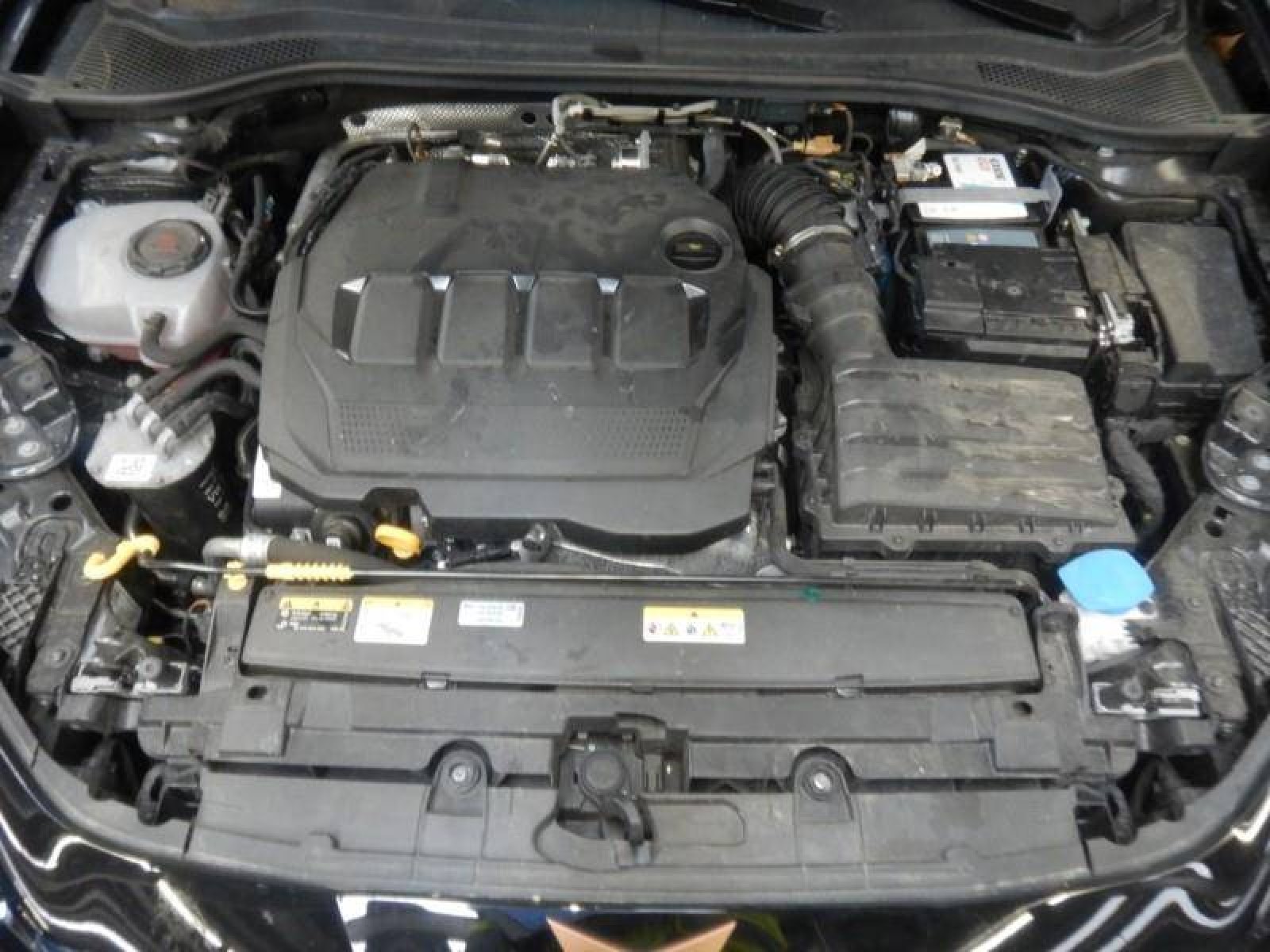 CUPRA - LEON - #872329 - 4