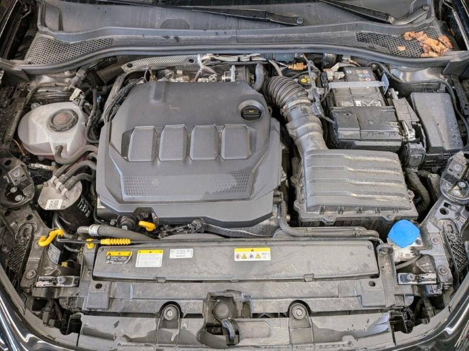 CUPRA - LEON - #872330 - 8