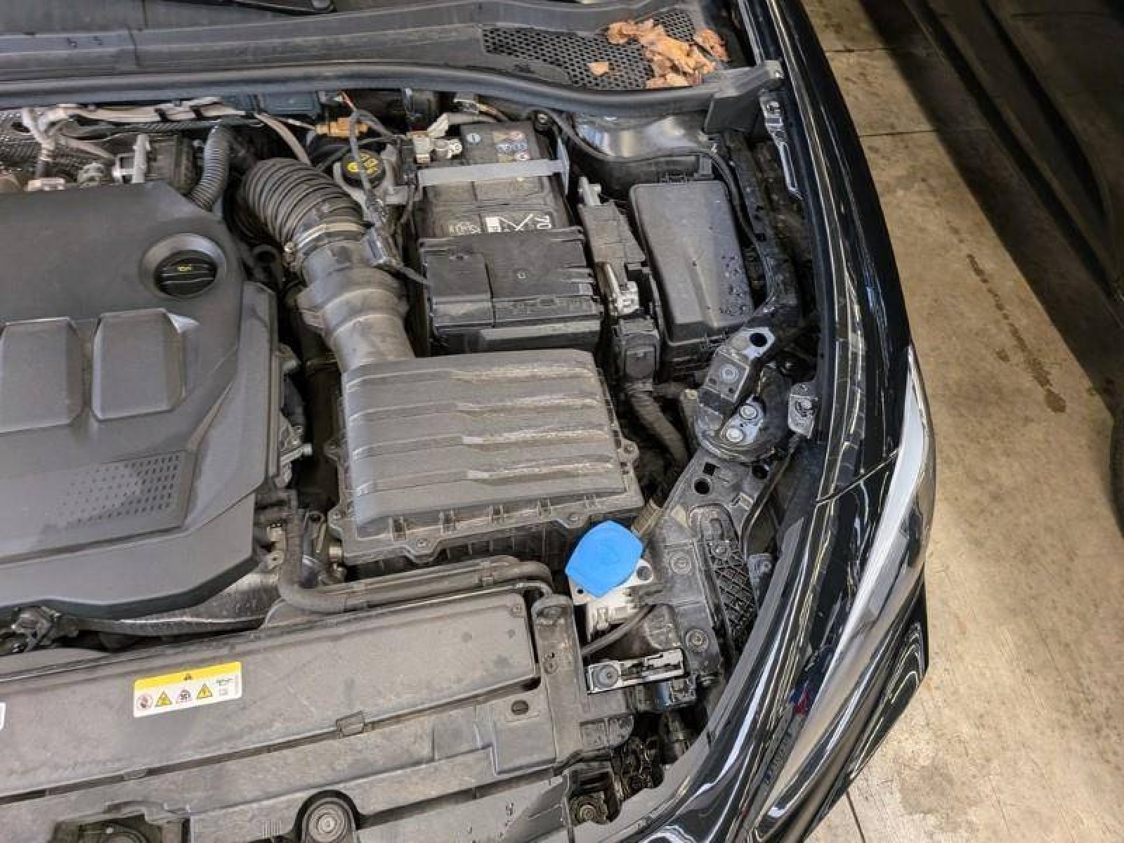 CUPRA - LEON - #872330 - 7