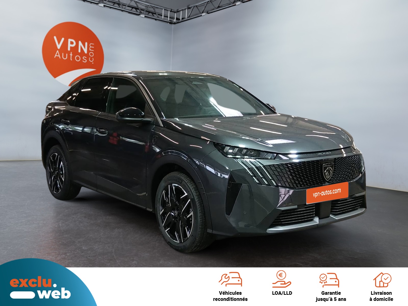 Image véhicule  PEUGEOT 3008 (1)
