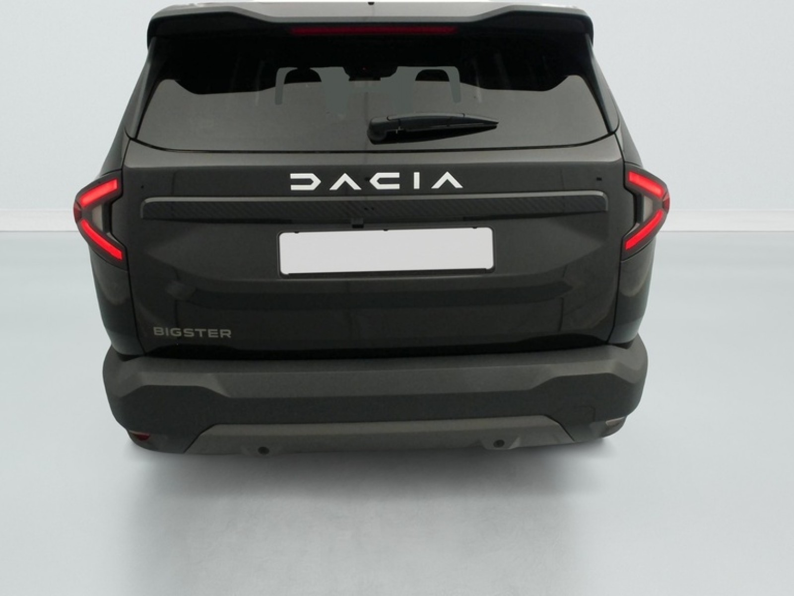 DACIA - BIGSTER - #871070 - 11