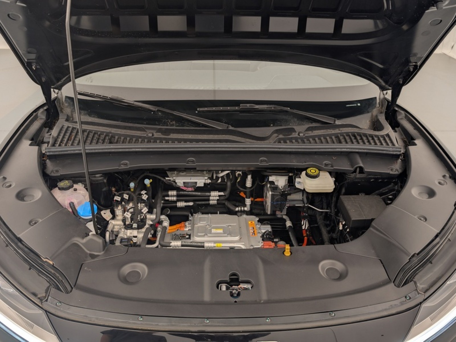 BYD - ATTO 2 - #875085 - 21