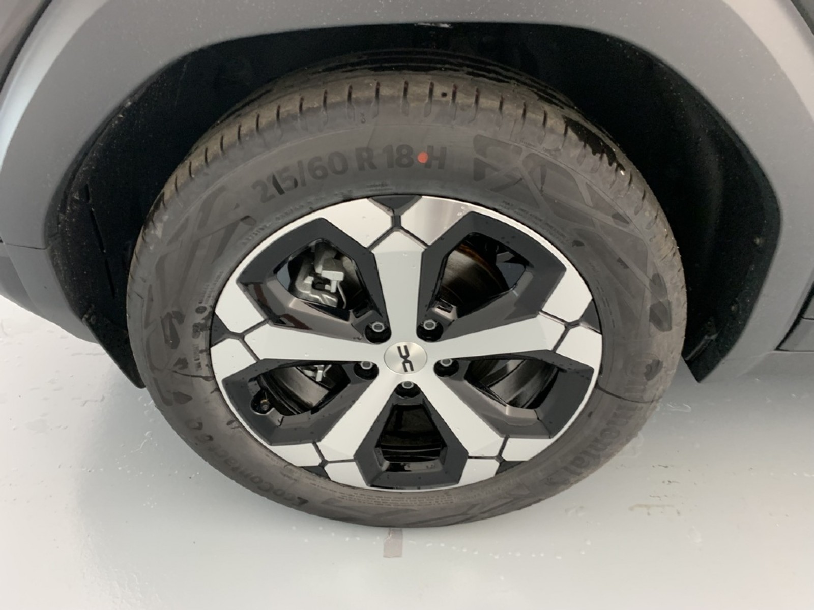 DACIA - DUSTER - #875318 - 20