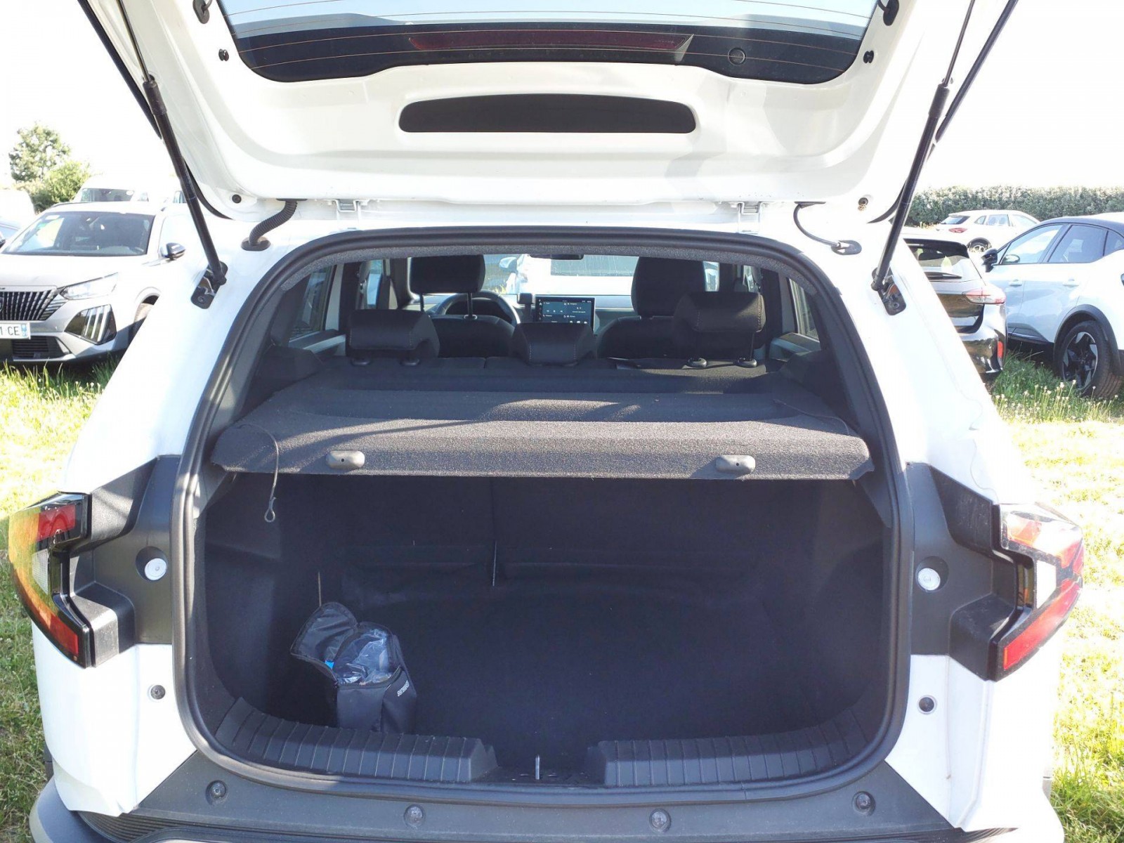 DACIA - DUSTER - #875519 - 4