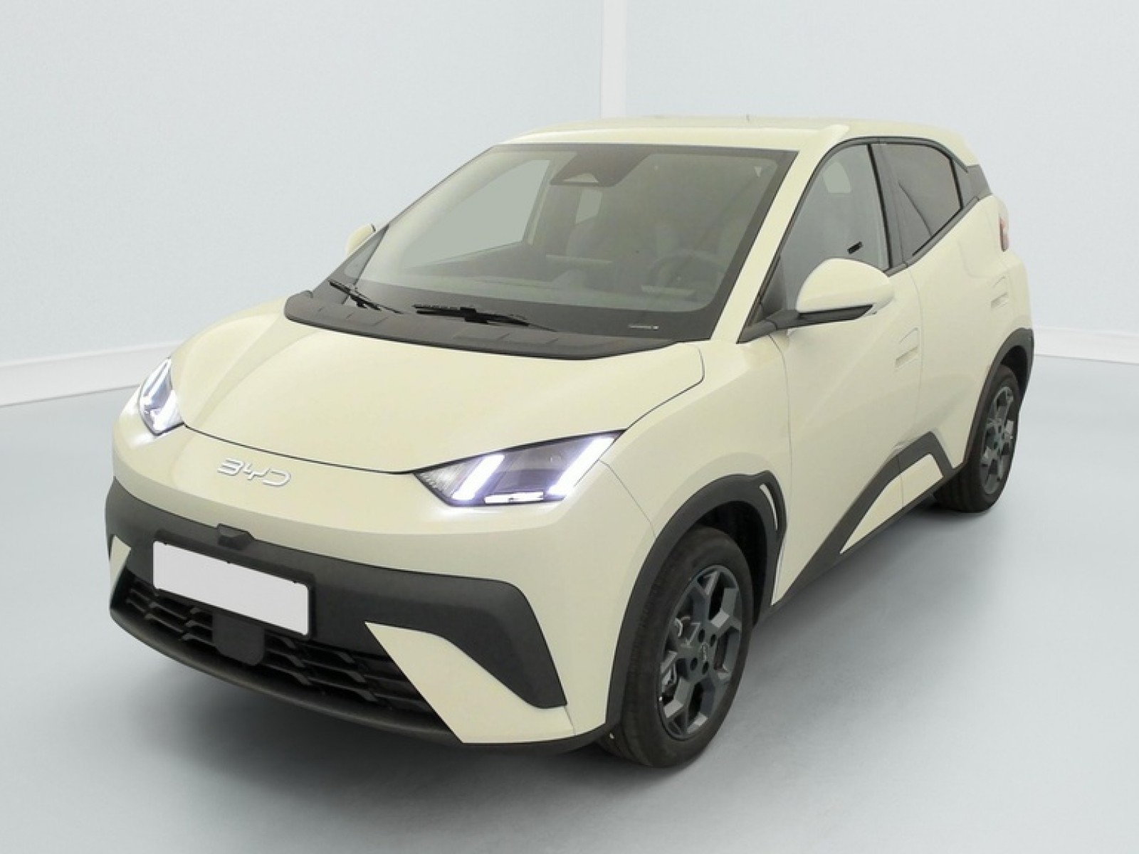 BYD - DOLPHIN SURF - #875591 - 2