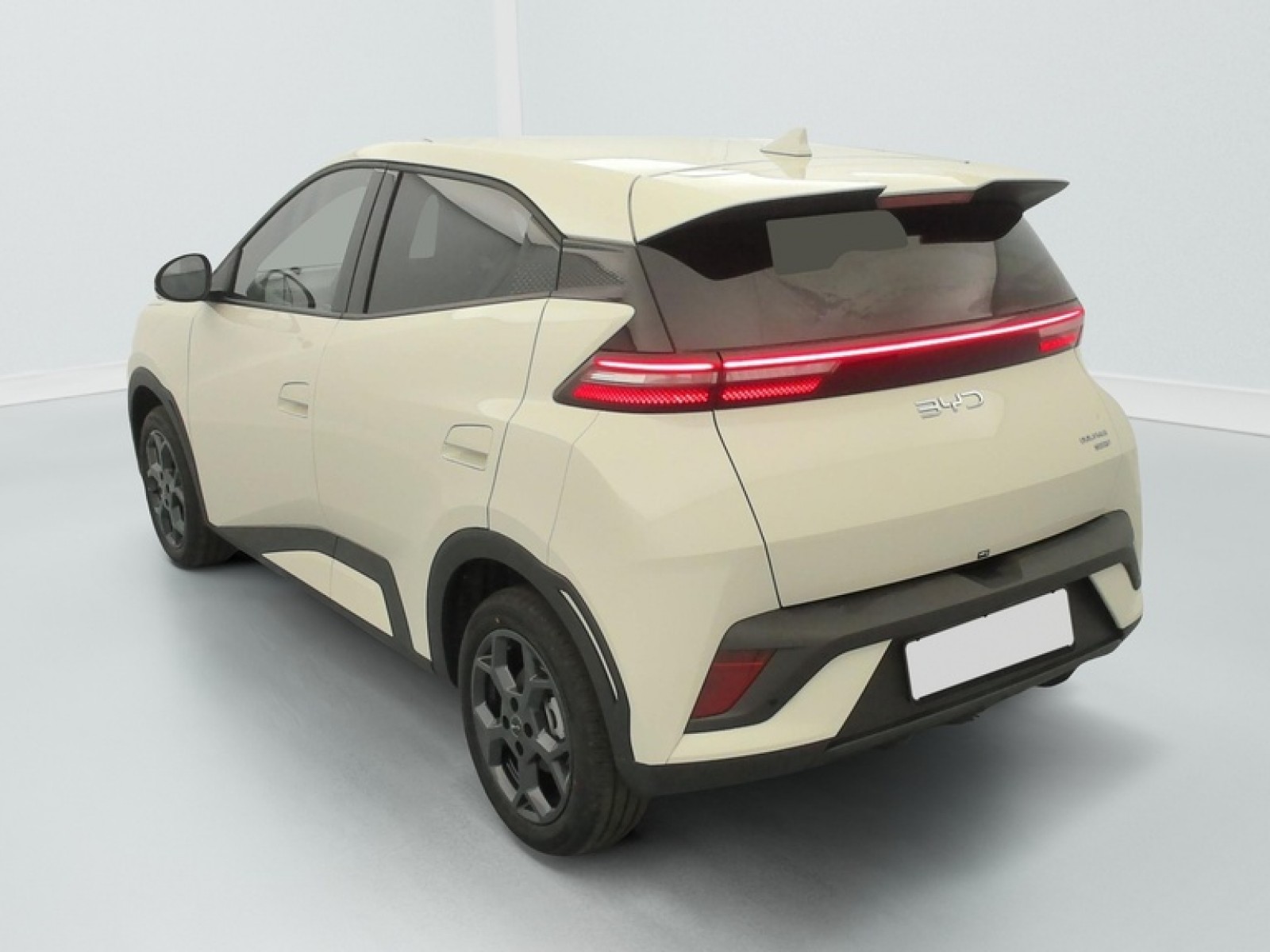 BYD - DOLPHIN SURF - #875591 - 4