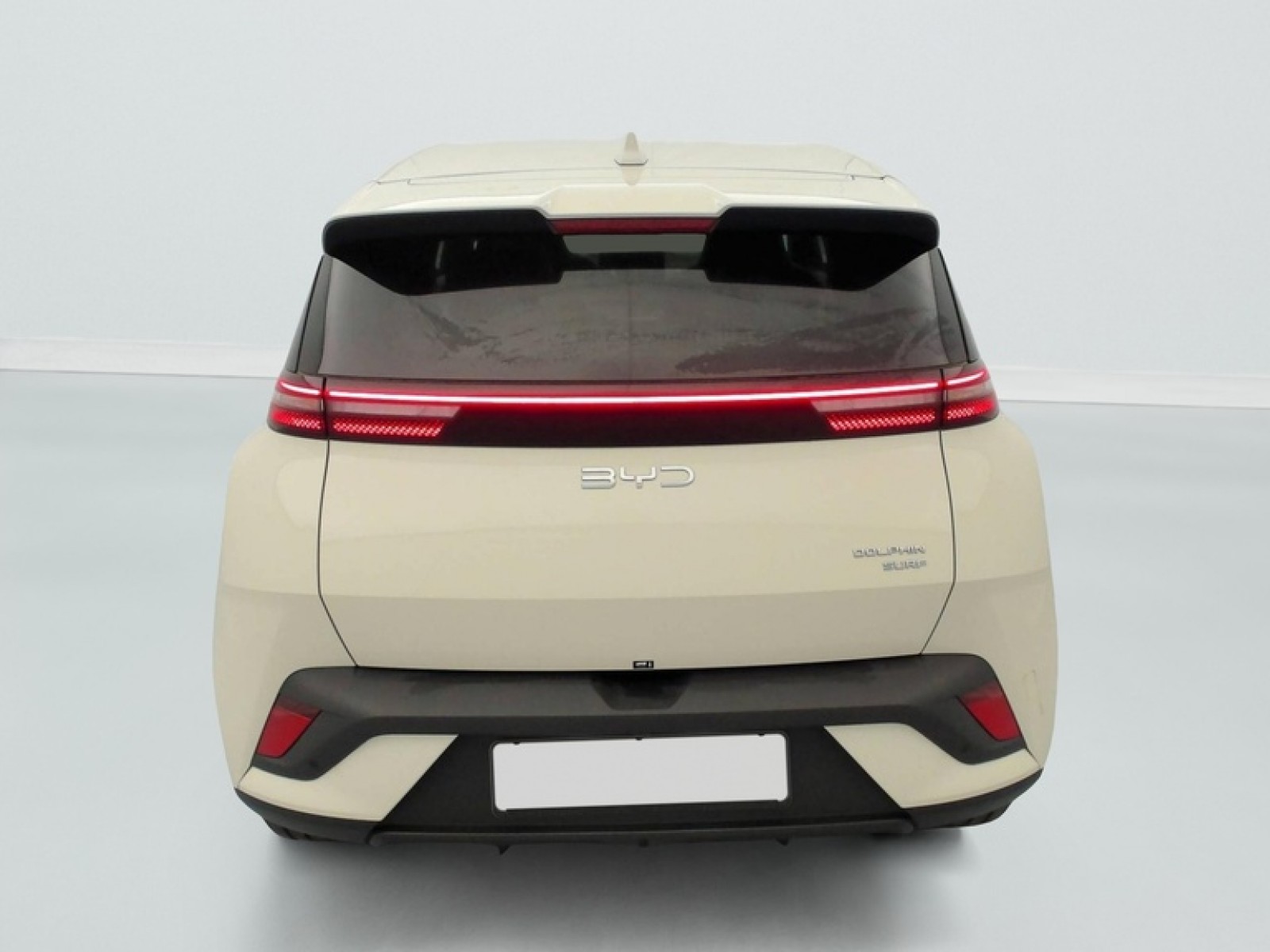 BYD - DOLPHIN SURF - #875591 - 5
