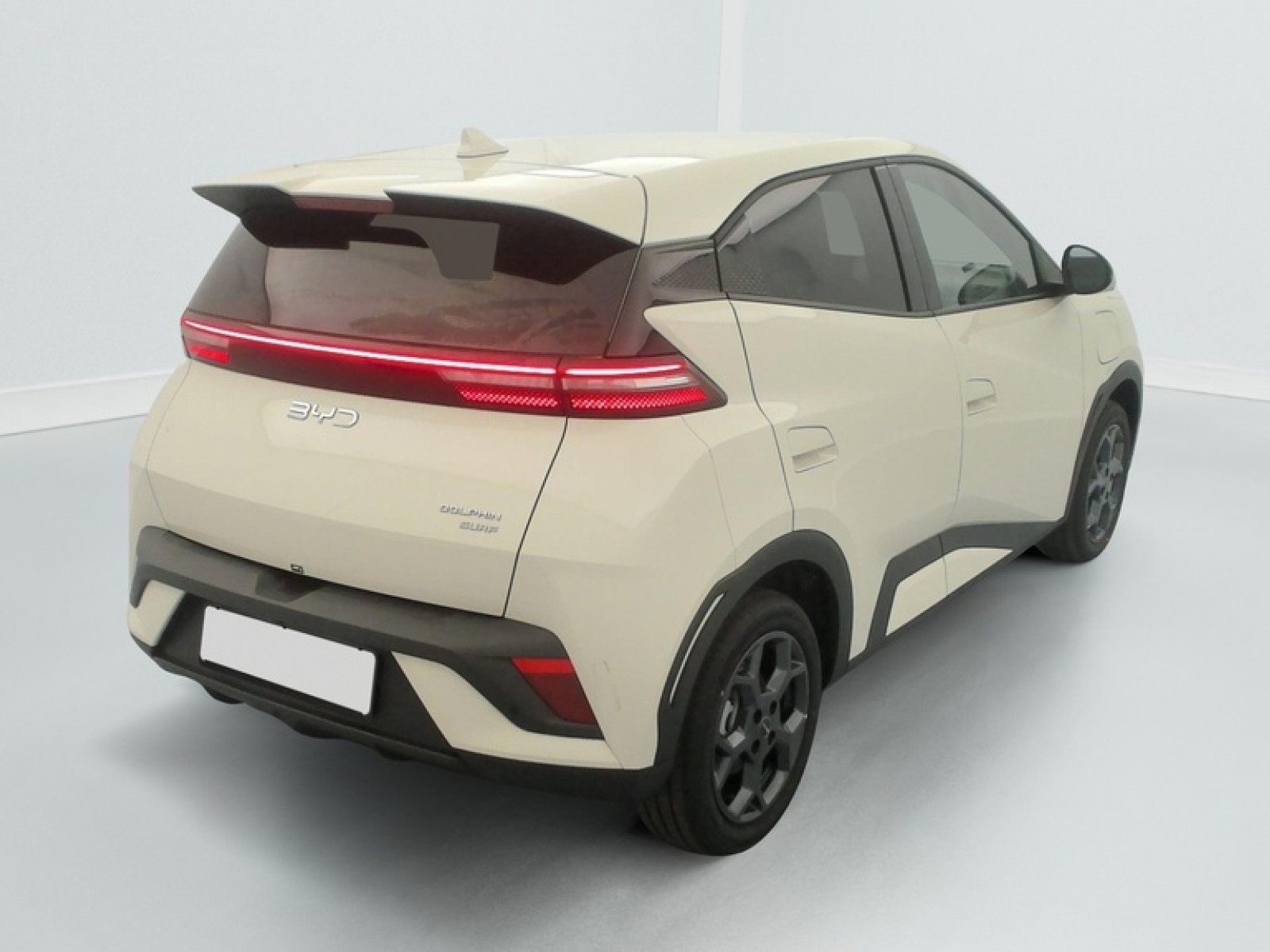 BYD - DOLPHIN SURF - #875591 - 6