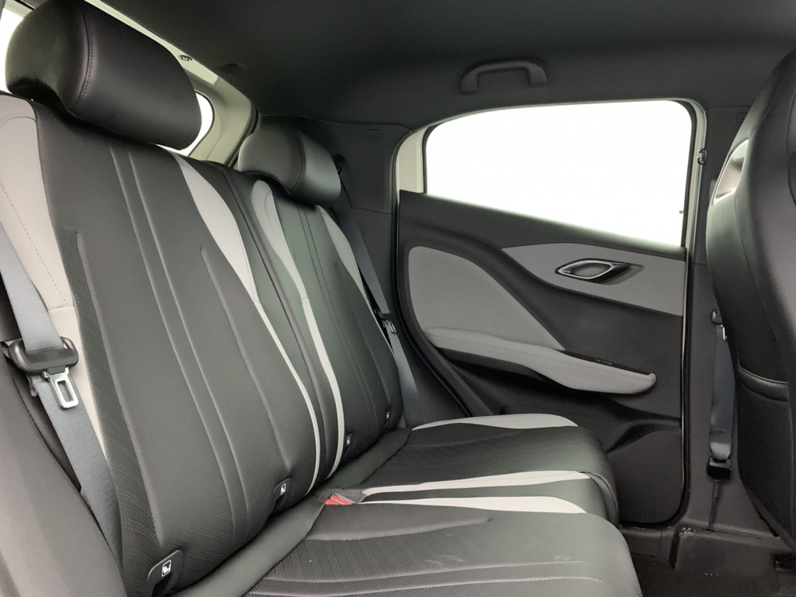 BYD - DOLPHIN SURF - #875591 - 9
